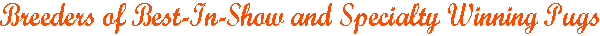 title2_bitogold.gif (2217 bytes)